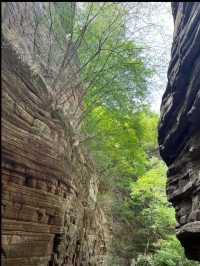 新安秘境！闖入現實版綠野仙蹤，龍潭大峽谷絕了！  爆裂推薦理由 洛陽小九寨！瀑布群+碧綠潭水美