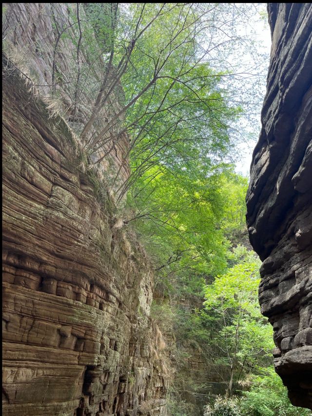 新安秘境！闖入現實版綠野仙蹤，龍潭大峽谷絕了！  爆裂推薦理由 洛陽小九寨！瀑布群+碧綠潭水美