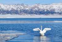 4天3晚夢幻伊犁之旅】人均2500私藏小眾路線&拍照攻略