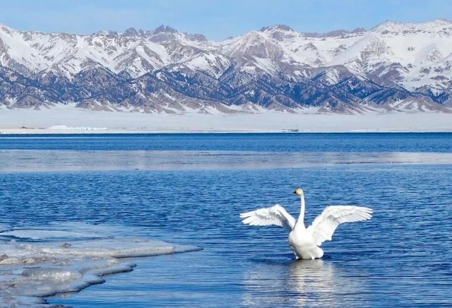 4天3晚夢幻伊犁之旅】人均2500私藏小眾路線&拍照攻略