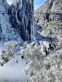 廣東出發1.5h直達冰雪王國莽山霧淞+懸崖溫泉攻略
