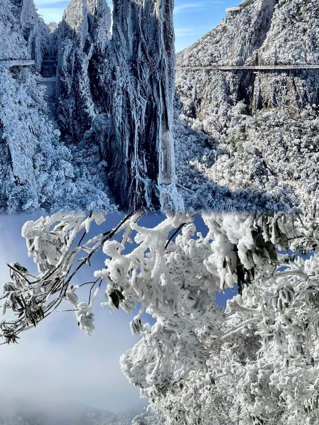 廣東出發1.5h直達冰雪王國莽山霧淞+懸崖溫泉攻略