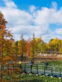 青島-威海-煙台長者旅行必看攻略