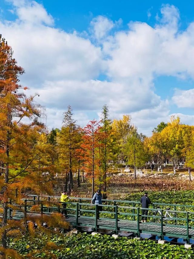 青島-威海-煙台長者旅行必看攻略