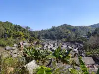 春節版納普洱行