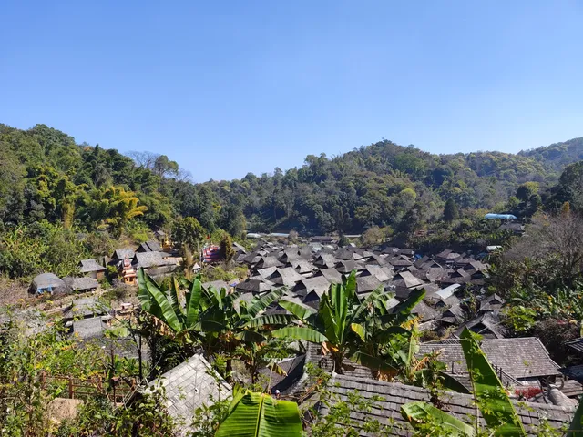 春節版納普洱行 春節版納普洱行