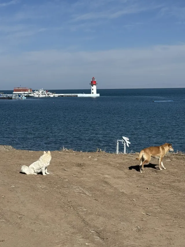 冬季青海湖美哭了.. 冬季青海湖美哭了..