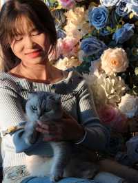 平潭這家海景民宿也太治癒了！面朝大海撸貓太幸福