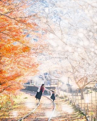 Autumn Special! Every Snap of the Mikawa Hirose Station Red Leaves Family Trip is Wallpaper-Worthy!