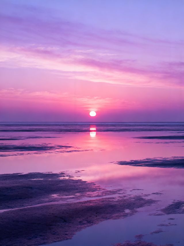 日出封神！南匯東灘濕地無痕遊玩+福利攻略