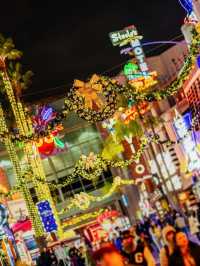 NBA聖誕大戰+美西冬黃石13天