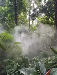 廈門植物園保姆級攻略 | 附最美拍照點