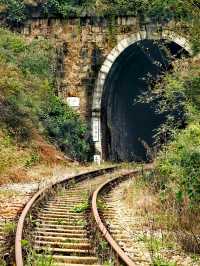 在昆明陽宗海旁竟然藏著一條停用的百年米軌鐵路