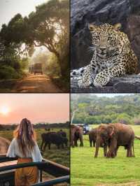 誰說這斯里蘭卡破啊家庭旅行可太好了