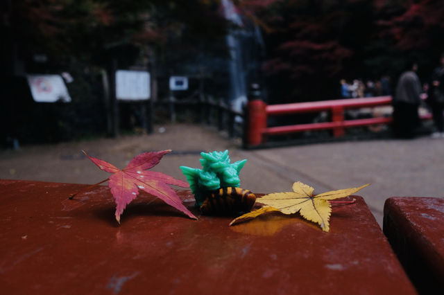 箕面公園|紅葉|箕面の滝 箕面公園|紅葉|箕面の滝