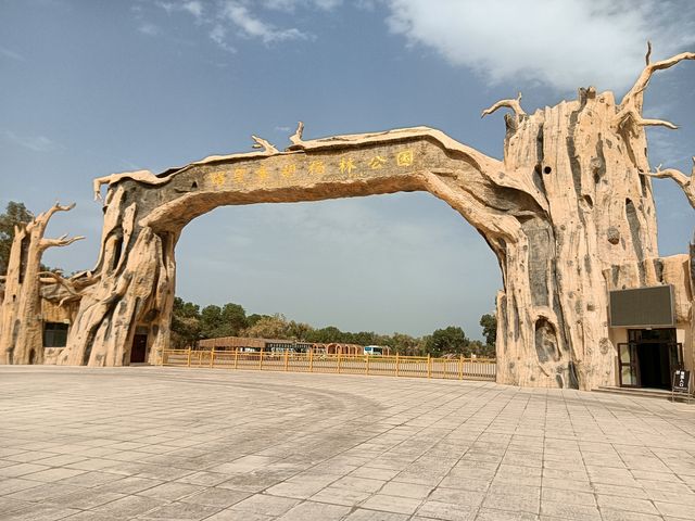 塔里木胡楊林公園 塔里木胡楊林公園