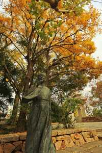 廣富林的深秋中式美學達到巔峰!