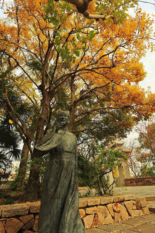 廣富林的深秋中式美學達到巔峰! 廣富林的深秋中式美學達到巔峰!