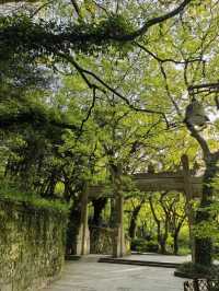 一海一剎一菩提，普陀山春遊記