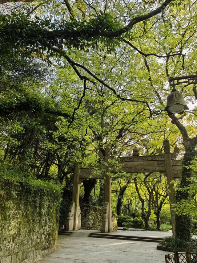 一海一剎一菩提，普陀山春遊記