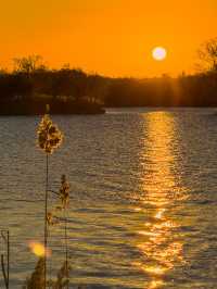 1204頤和園日出，西山橘紅像七彩丹霞
