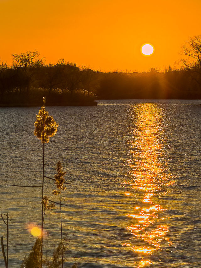 1204頤和園日出，西山橘紅像七彩丹霞