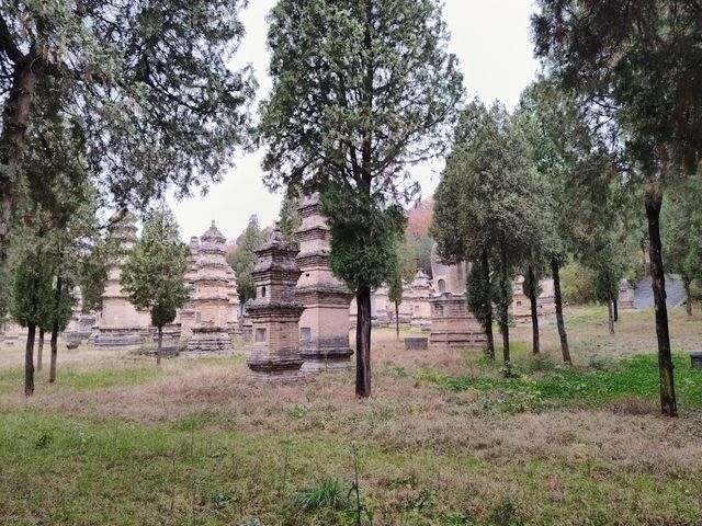 嵩山雨霧,塔影奇觀 嵩山雨霧,塔影奇觀