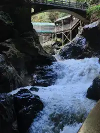 不上班，去昆明追風