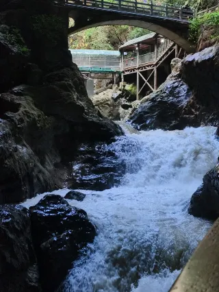 Skip work and go to Kunming to chase the wind.