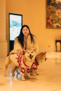 這個冬天夢幻的聖誕儀式感,被我狠狠拿捏了