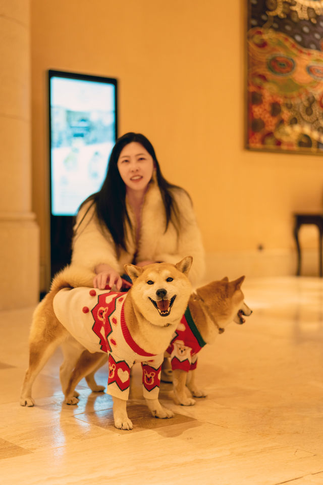 這個冬天夢幻的聖誕儀式感,被我狠狠拿捏了 這個冬天夢幻的聖誕儀式感,被我狠狠拿捏了