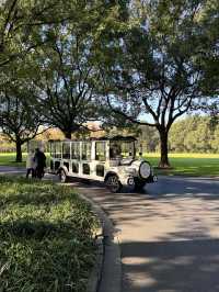 東郊秘境直出！比西郊美10倍的live級秋日畫冊