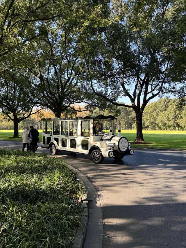 東郊秘境直出！比西郊美10倍的live級秋日畫冊