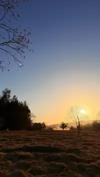 晨霧繚繞的皖南秋色太值得一看了