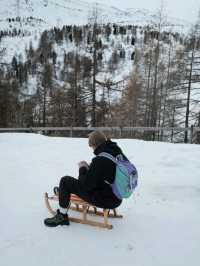 Sledging at Julierpass – Pure Winter Magic 🛷