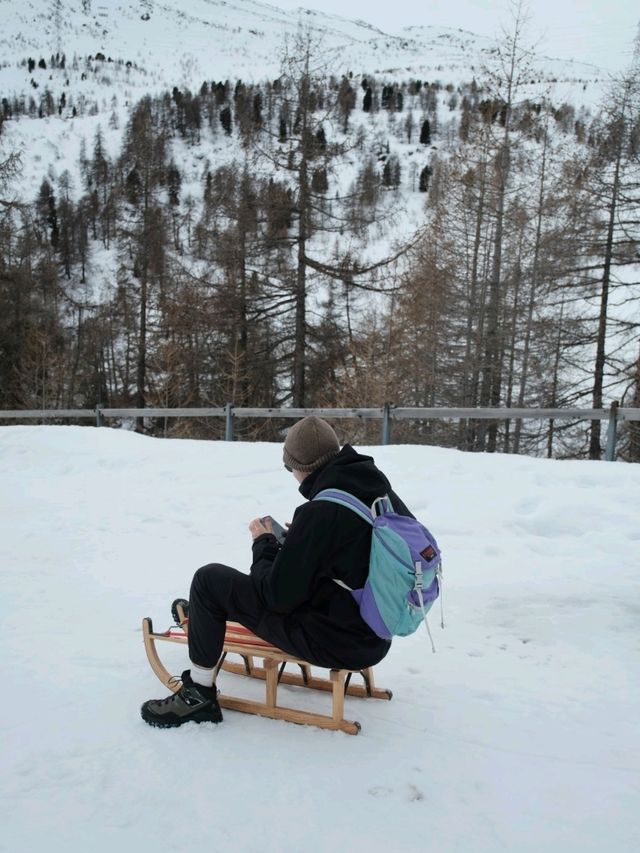 Sledging at Julierpass – Pure Winter Magic 🛷 Sledging at Julierpass – Pure Winter Magic 🛷