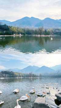 秦嶺山下的動物王國!人均150元玩轉自然野趣