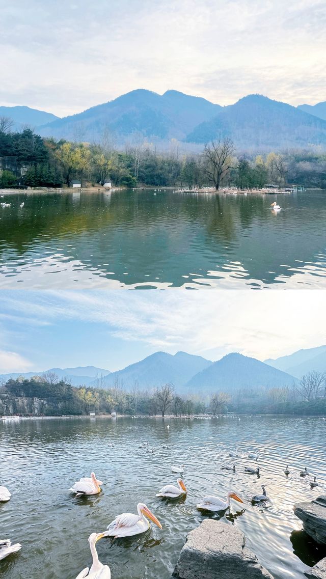 秦嶺山下的動物王國!人均150元玩轉自然野趣 秦嶺山下的動物王國!人均150元玩轉自然野趣