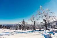 冬天來哈爾濱-牡丹江-延邊 真的不虧