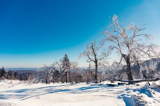 冬天來哈爾濱-牡丹江-延邊 真的不虧