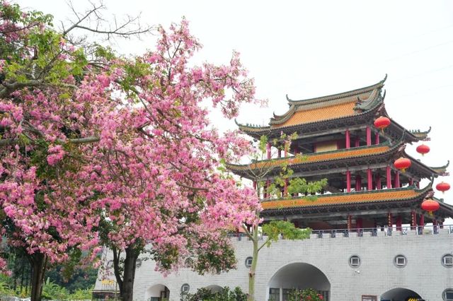 東莞觀音山，限時五彩皮膚解鎖新年好運
