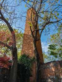 宜興｜好逛速來