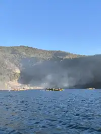 被瀘沽湖美鼠！12.4實拍！