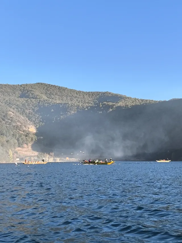 被瀘沽湖美鼠！12.4實拍！