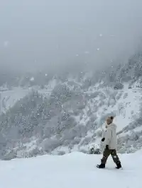 神農架冬日童話|闖入南國最純淨的雪國