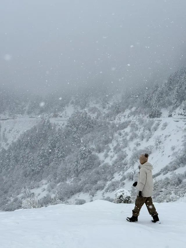 神農架冬日童話|闖入南國最純淨的雪國 神農架冬日童話|闖入南國最純淨的雪國