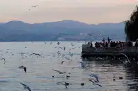 淡季的雲南，真的太美了！！