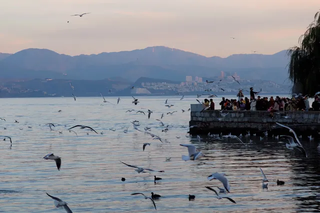 淡季的雲南，真的太美了！！