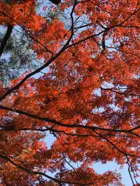 週末玩轉湖州莫干山 and 下渚湖濕地公園