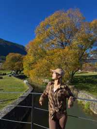 雪山下的藝術暴擊！阿美澤這趟打卡太值了